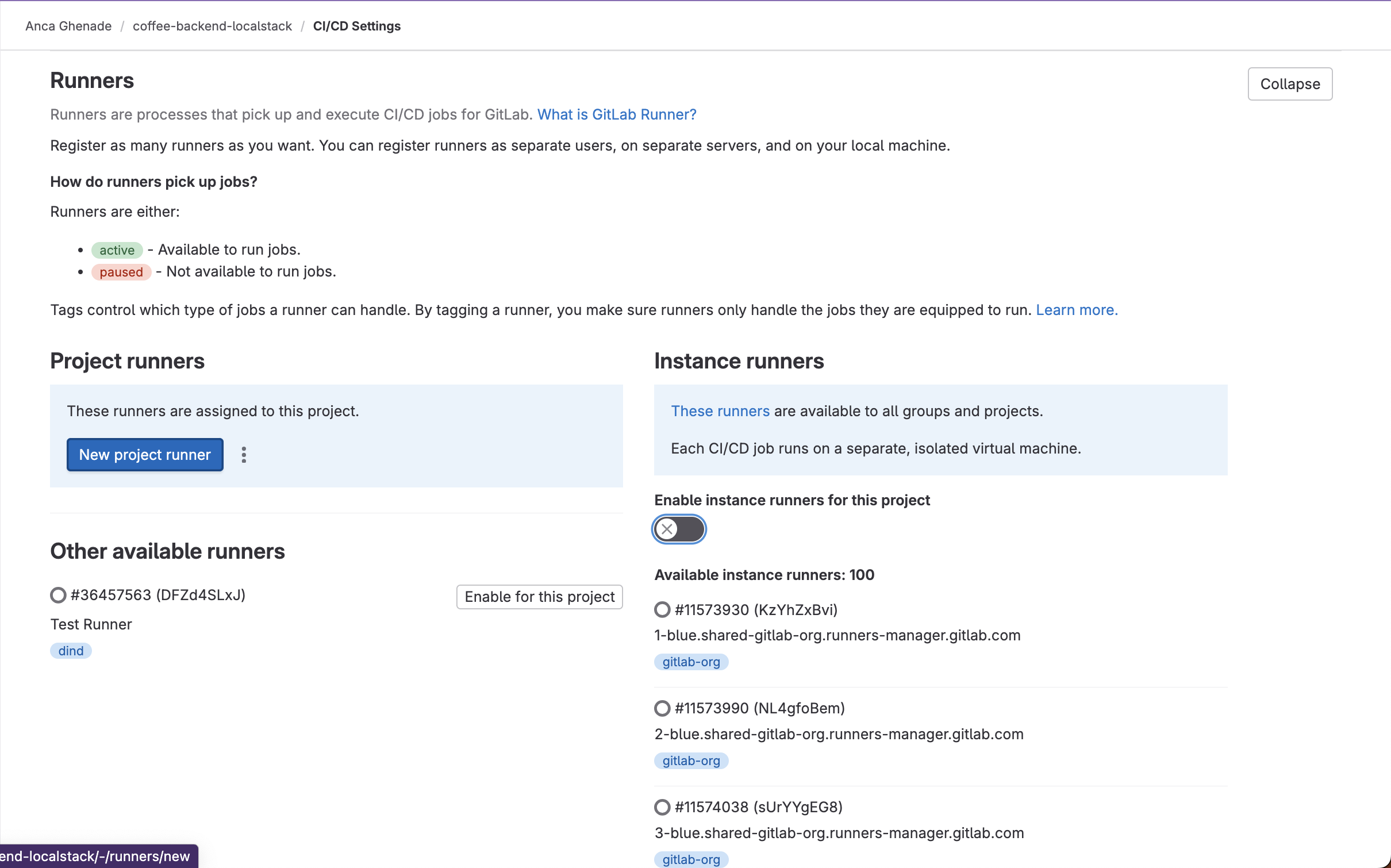 Project runners section